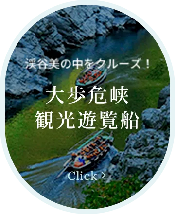 峡谷の湯宿 大歩危峡まんなか