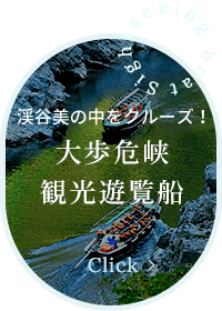 峡谷の湯宿 大歩危峡まんなか