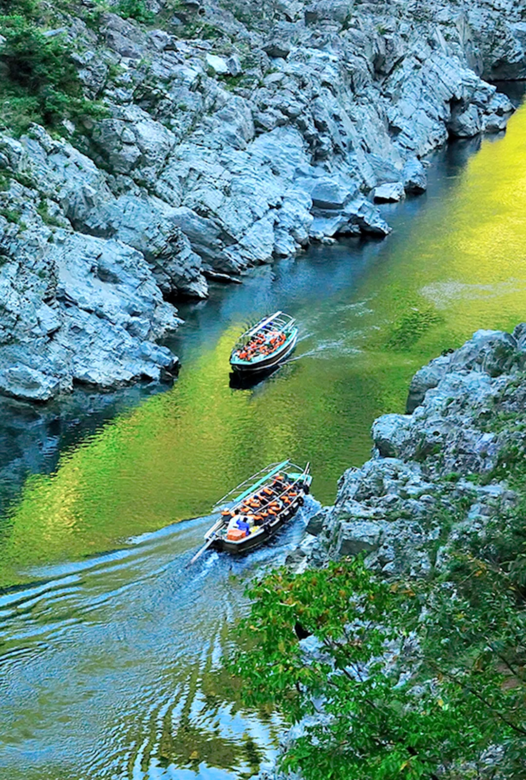 大歩危峡観光遊覧船