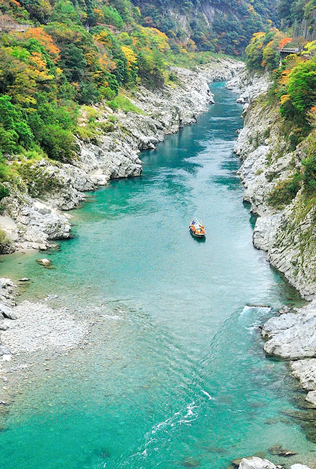 大歩危峡観光遊覧船