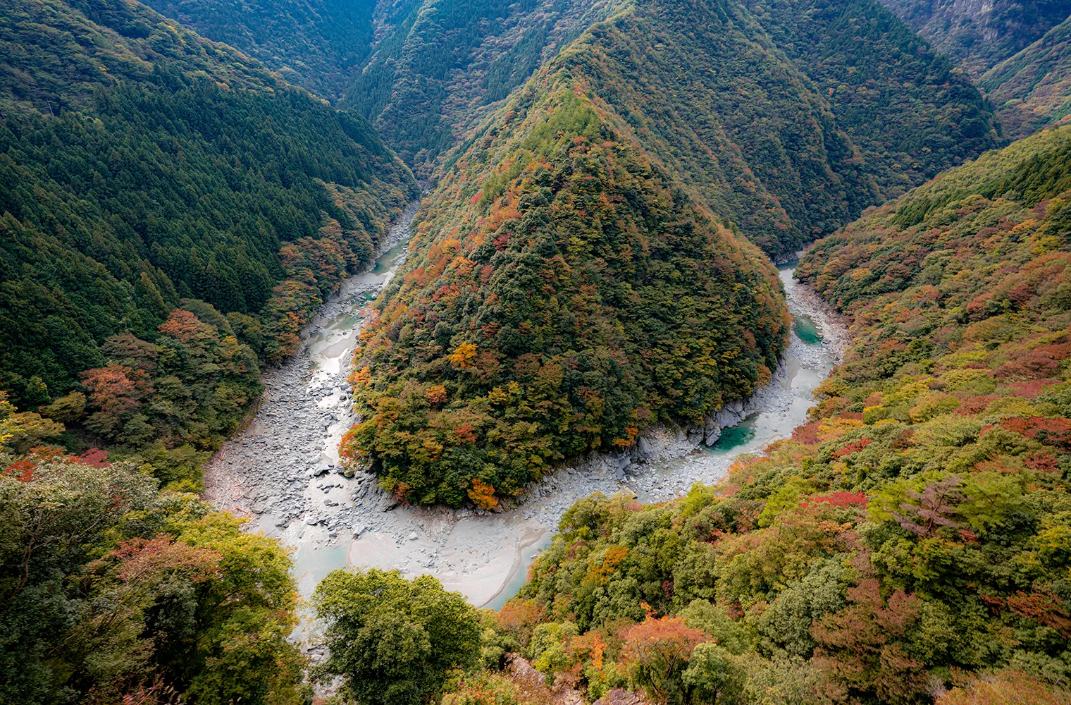 大歩危峡まんなかイメージ