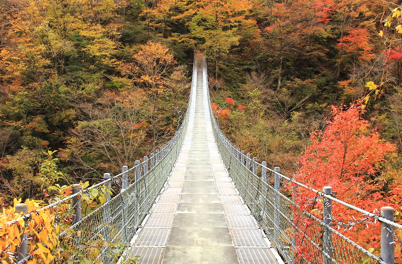 大歩危峡まんなかイメージ